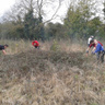 Bin Brook Meadow, Coton Reserve