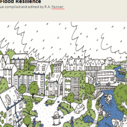 Perspectives on Urban Flood Resilience - Blog