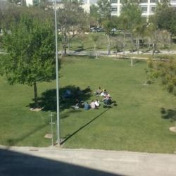 Valencia Workshop Impact Assessment challenges April 2017